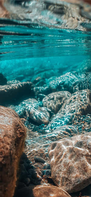 Ocean Æstetik Telefon — Pixel 8 Wallpapers