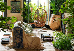 Aesthetic Boho billeder
