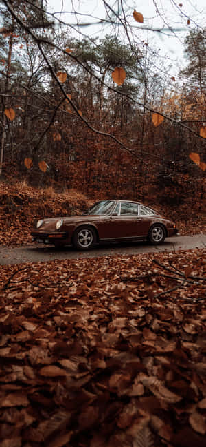 Vintage Æstetisk Efterår Træer Bil — Tecno Spark Go 3 Wallpapers