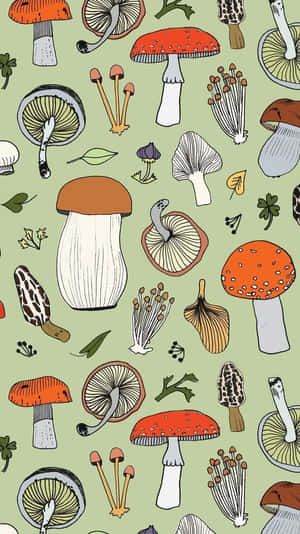Vintage sød svamp flora blanding salviegrøn — Svampeæstetik Wallpapers