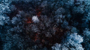 Vinteræstetik fra fugleperspektiv — Vinteræstetik Wallpapers