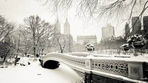 Vinteræstetik i Central Park — Vinteræstetik Wallpapers