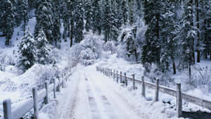 Vinterbaggrund