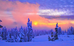 Vinterscene med intens solnedgang — Vinter Wallpapers