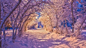 Vinterscene Tunnel — Vinter Wallpapers