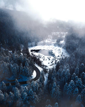 Baggrundsbillede med vinterskov og sø