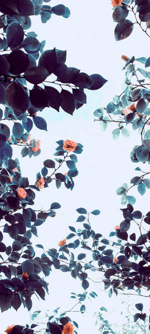 Vivo V20 Orange Blomst Træ — Honor GT Pro Wallpapers