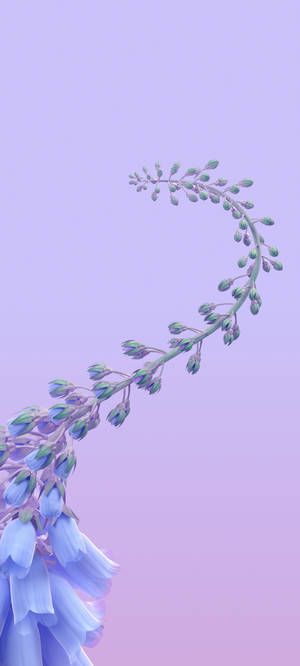 Vivo Y11 Klokkeblomster — Vivo Y11 Wallpapers