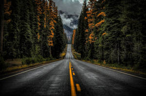 Washington State Route 410 wallpaper — Skumring Wallpapers