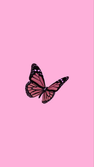 Y2k Æstetik Pink Monarch Sommerfugl — Æstetisk sommerfugl Wallpapers