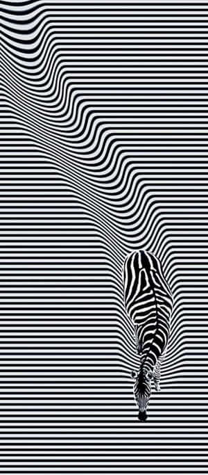 Optisk illusion [billede] — Tecno Spark Go 3 Wallpapers